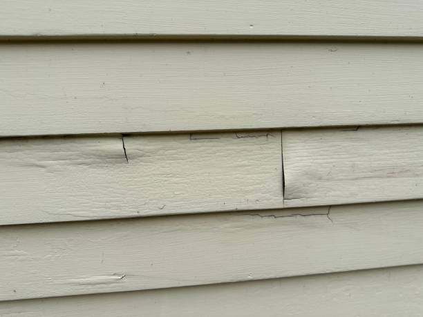 How To Choose The Right Materials for Your Siding Installation in 'Early, TX